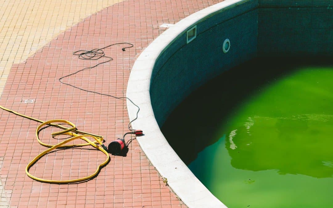 Green Pool Cleanup Tips for Las Vegas Backyards