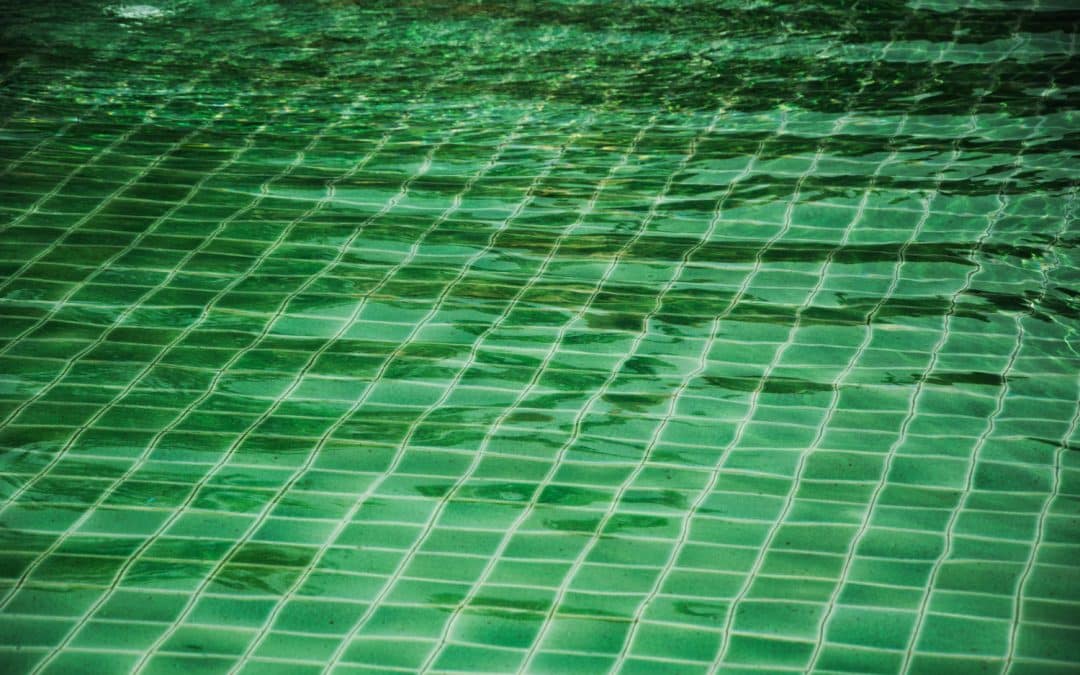 Why Is My Pool Water Green in Winter Las Vegas?