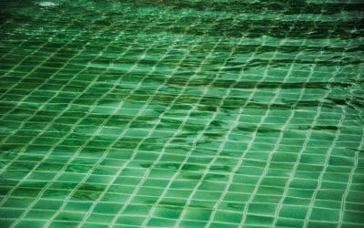 Why Is My Pool Water Green in Winter Las Vegas?